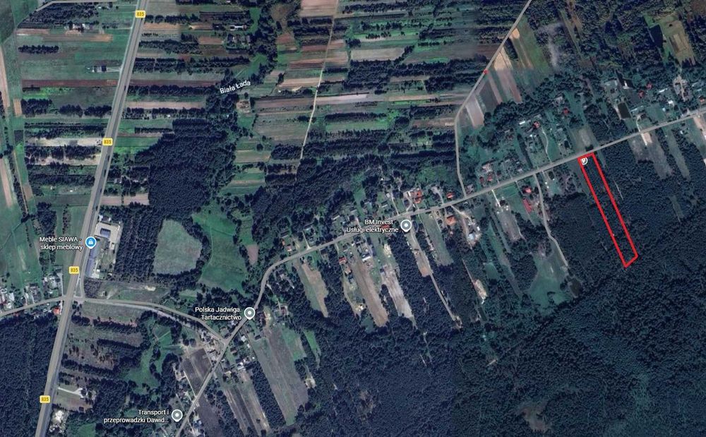Działka budowlana 1,2 ha – Karolówka, cisza, las, 10 min do Biłgoraja - Widok 3