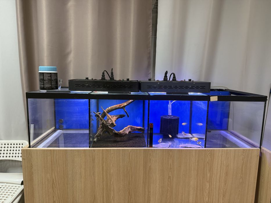 Bateria de 4 aquarios