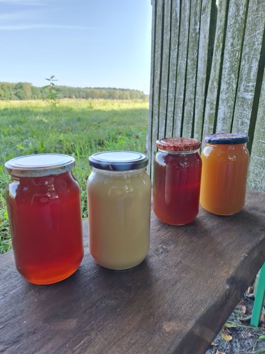 Miód o smaku natury z lasu