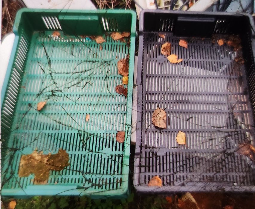 Skrzynki plastikowe 10 kg