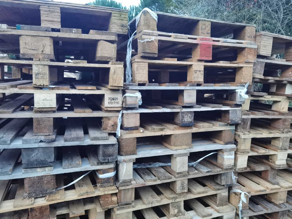 Várias paletes usadas só 3E cada