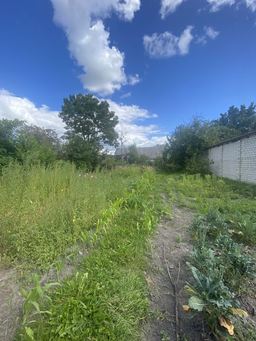 Продам ветхій будинок з земельною ділянкою  в центрі  села Глибочиця