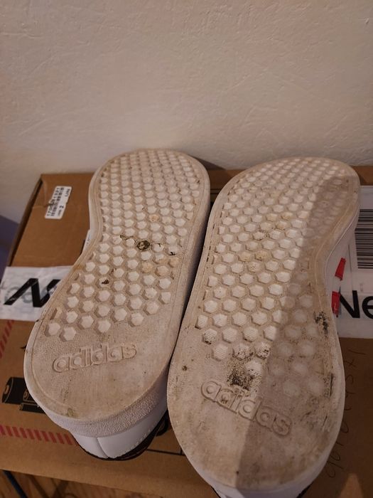 Adidas Neo 37.5 hoje 25