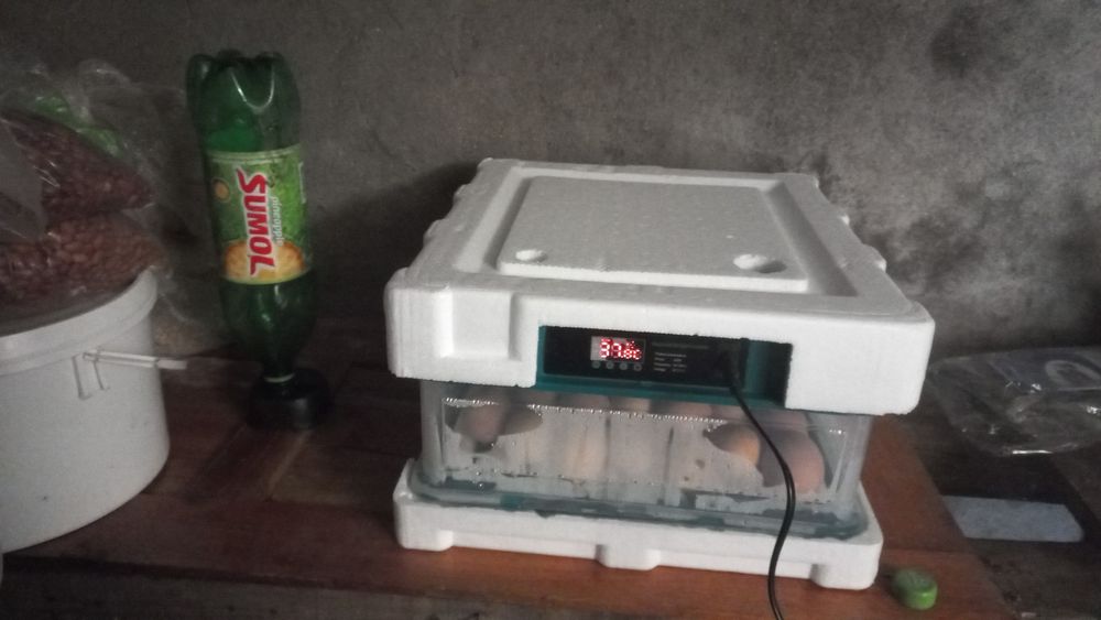 Chocadeira automatica ovos