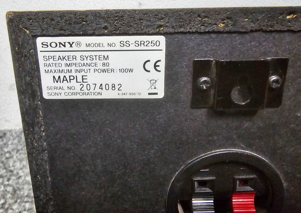 głośnik surround Sony SS-SR250. wysyłka