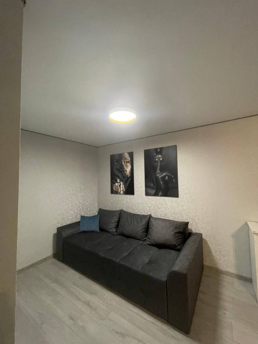 Здається на довготривалий термін 1-кімнатна