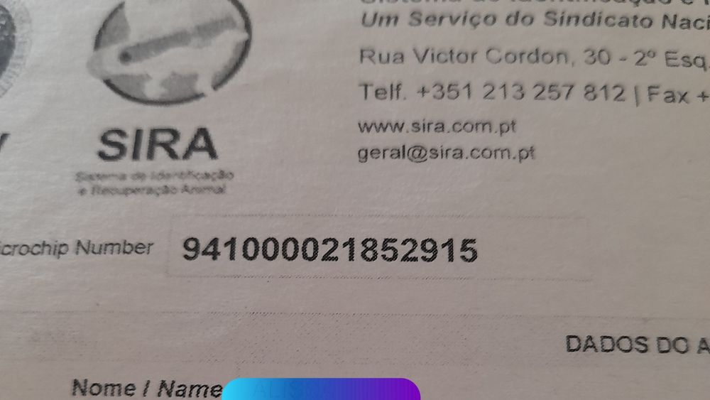 MachinhoXX porte pequeno