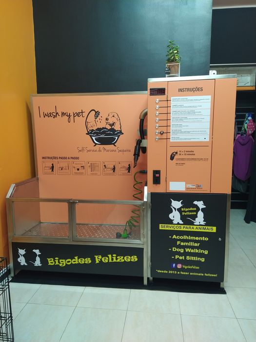 Banheira Self-service Dog Wash