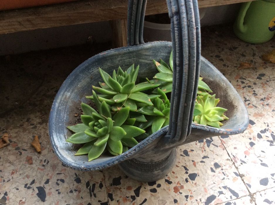 Vendo vaso em ceramica