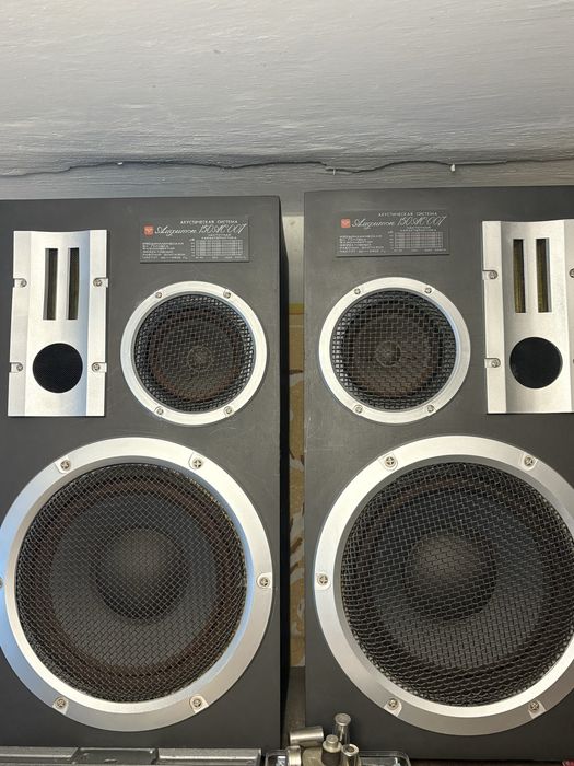 Акустична система з підсилювачем Амфітон