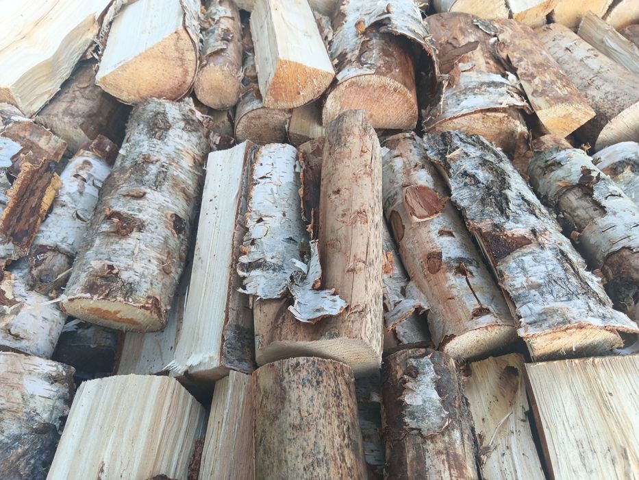 Brzoza. Opał, drewno kominkowe. Możliwość transportu.