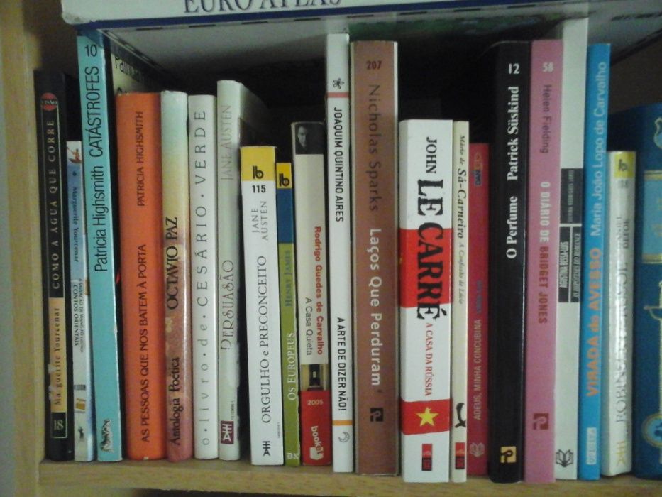 Livros Diversos LOTE 6 Venda INDIVIDUALMENTE Entrega IMEDIATA Ler+ Pnl