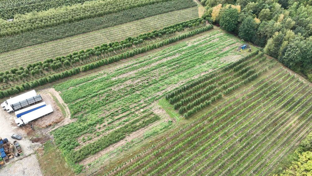 Usługi dronem - inspekcje, fotografia nieruchomości, dokumentacja
