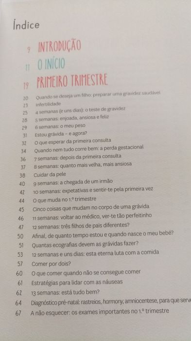 Livro "Dias de uma Princesa Grávida"