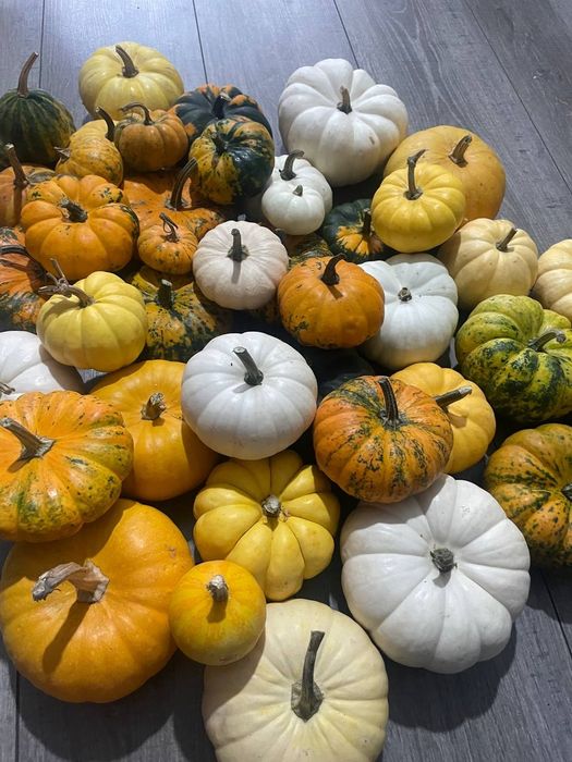 Маленькi гарбузи, тыква на Хеллоуин, маленькая тыквы, декор тыква