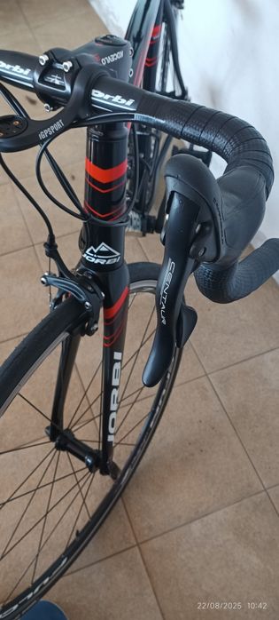 Bicicleta de estrada Jorbi Champion