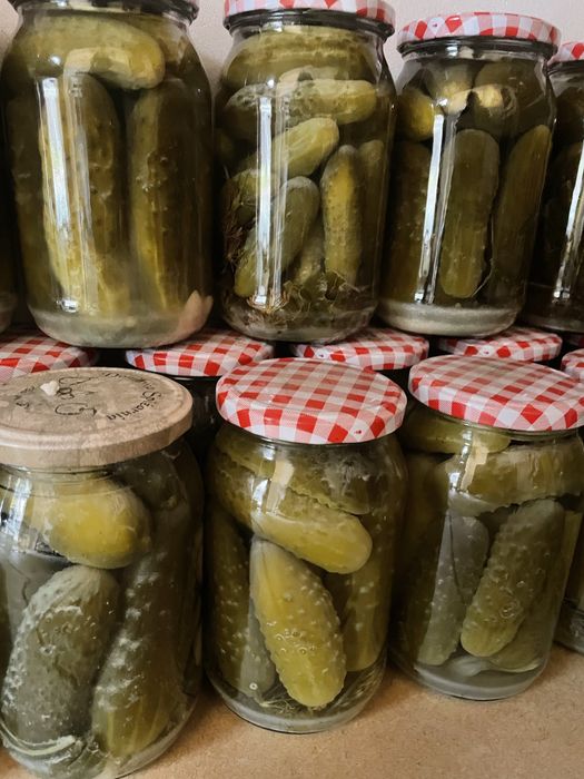 Ogorki kiszone z wlasnego ogrodka