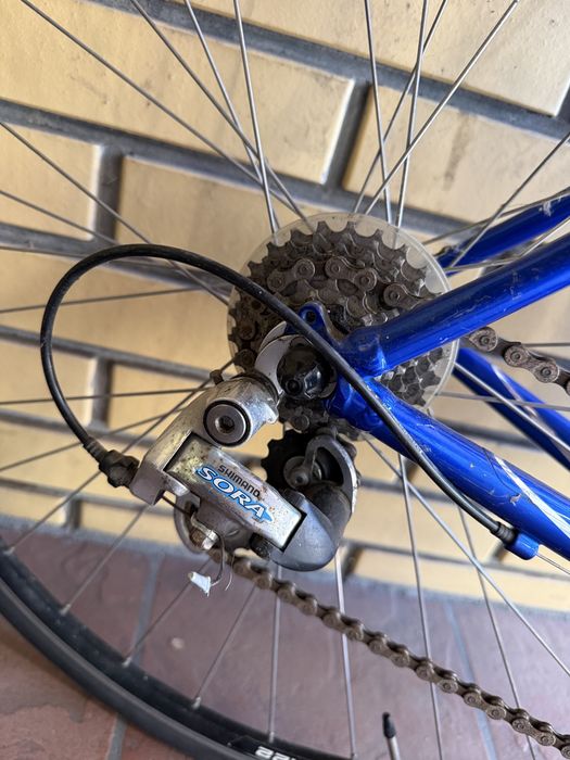 Rower Giant OCR Special