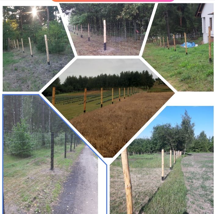 Tanie Ogrodzenia Tymczasowe budowlane Siatka Leśna i inne