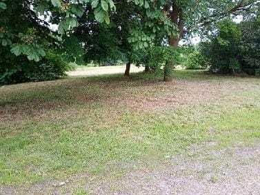 działka na sprzedaż Idzikowice Wilków - Widok 4