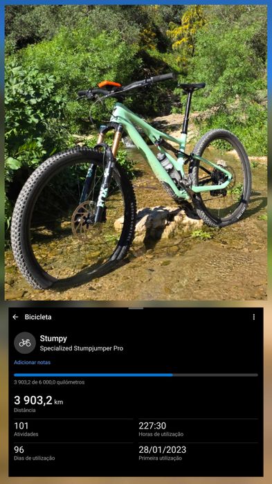Vendo BTT Specialized Stumpjumper Pro (Tamanho L) – Como Nova!