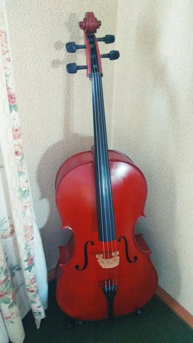 violoncelo 3/4 PARROT em excelente estado