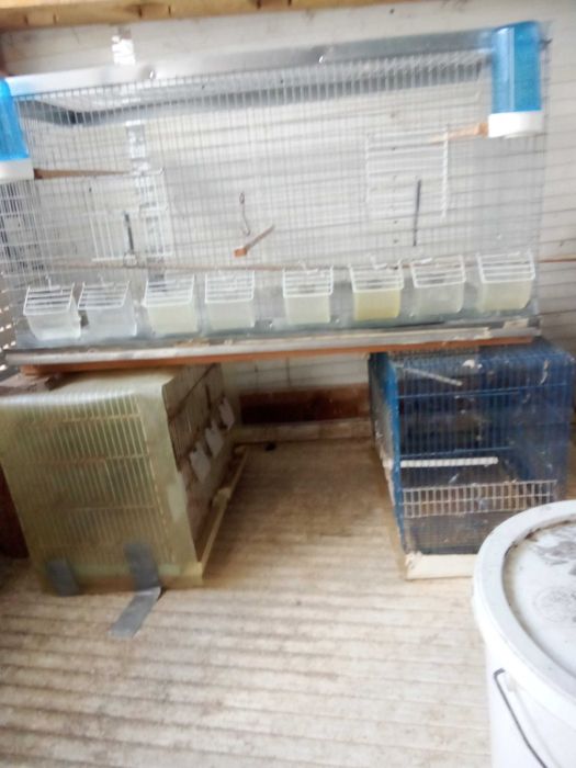 Gaiolas para criação de Canários