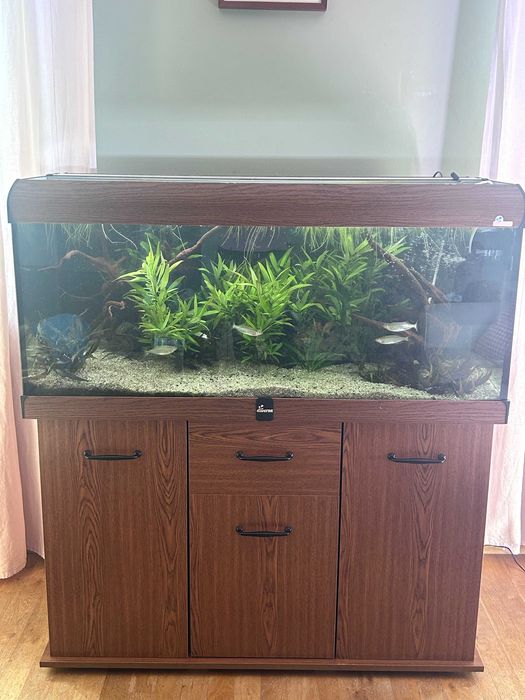 Akwarium kompletne z życiem