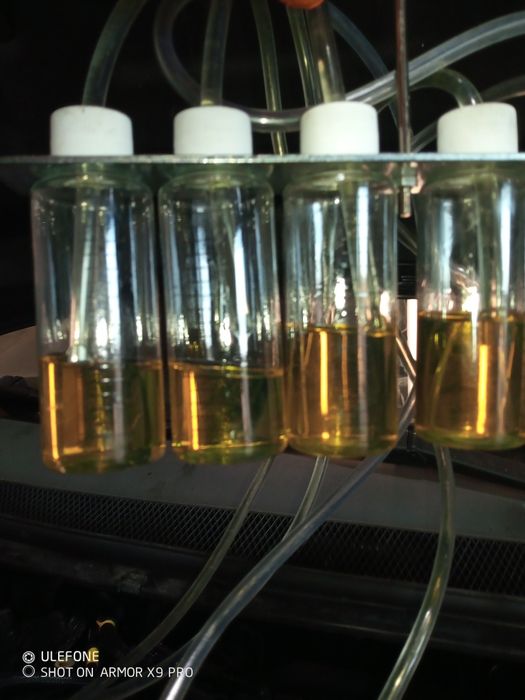 Prestação de serviços