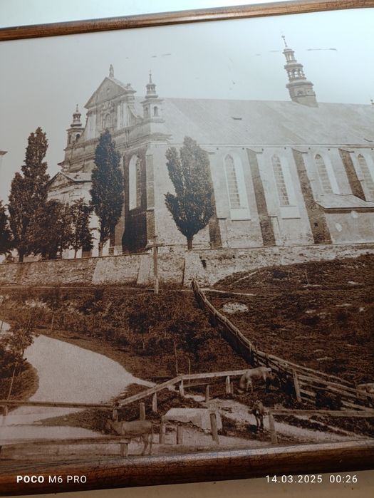 Obraz druk zdjęcia Sandomierz Katedra z 1875r 73cm x 52cm
