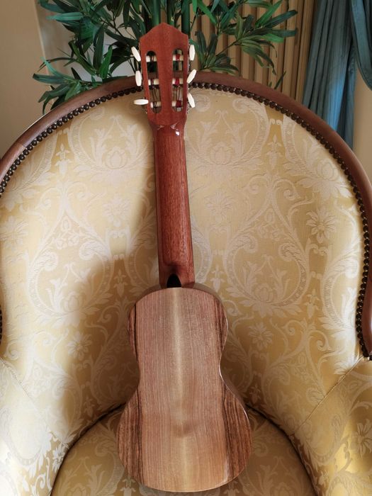 Travel Guitar / Guitalele