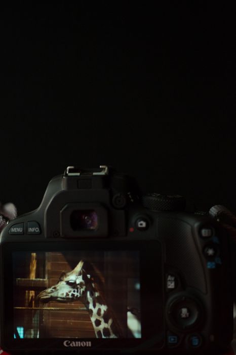 Canon 100d, 6тыс пробег, rebel sl1