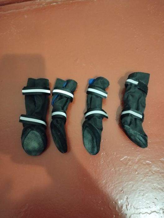 Черевички для собачки маленької породи