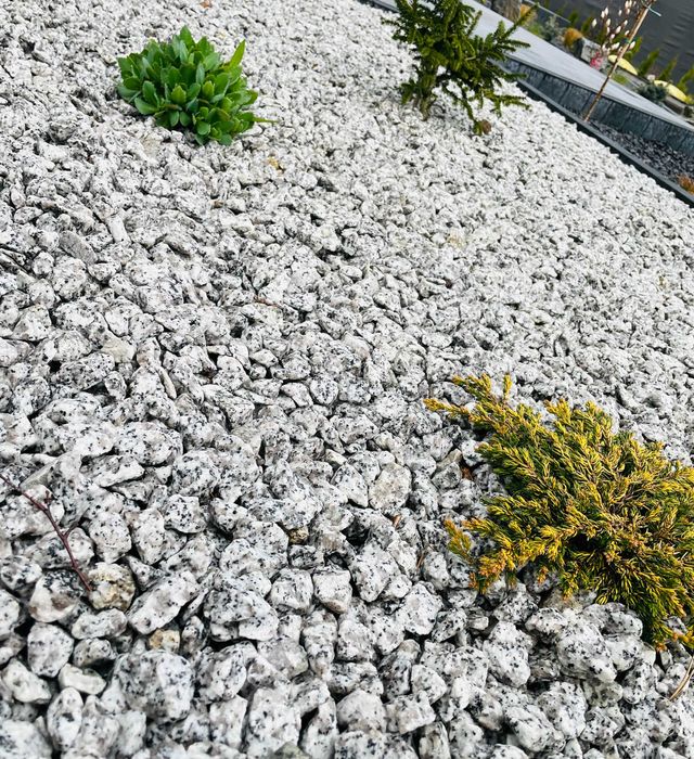 *Kamień ozdobny, ogrodowy, grys granitowy - cudo*Dalmatyńczyk, Big Bag