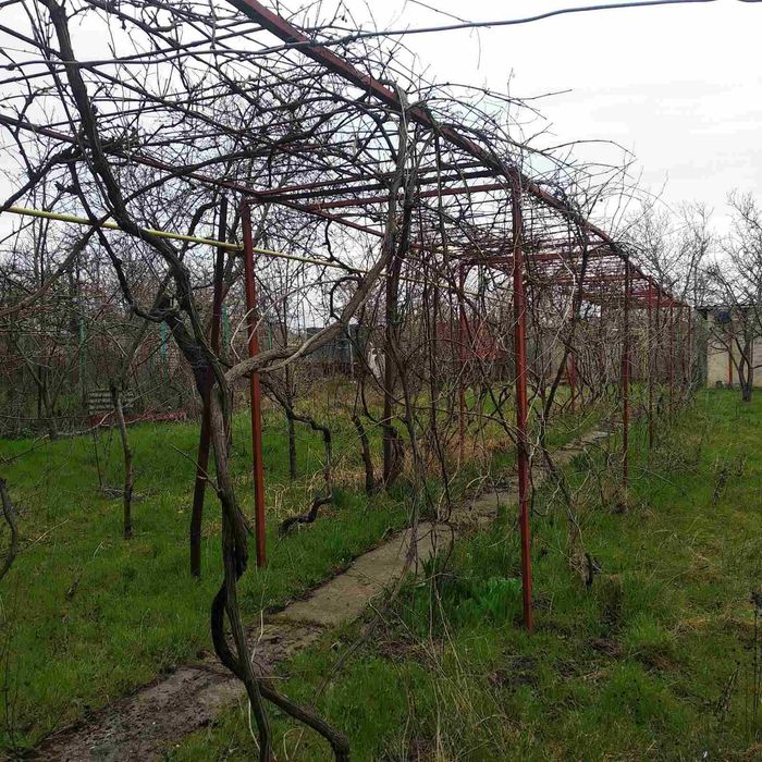 Продам  ДОМ   с. Светлое