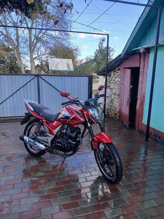 Musstang Region mt 08