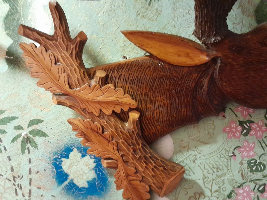 Ріг лося. Карпати