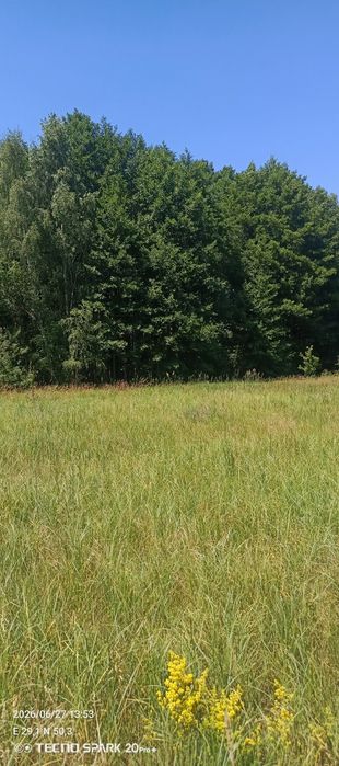 Продаж землі земельних ділянок