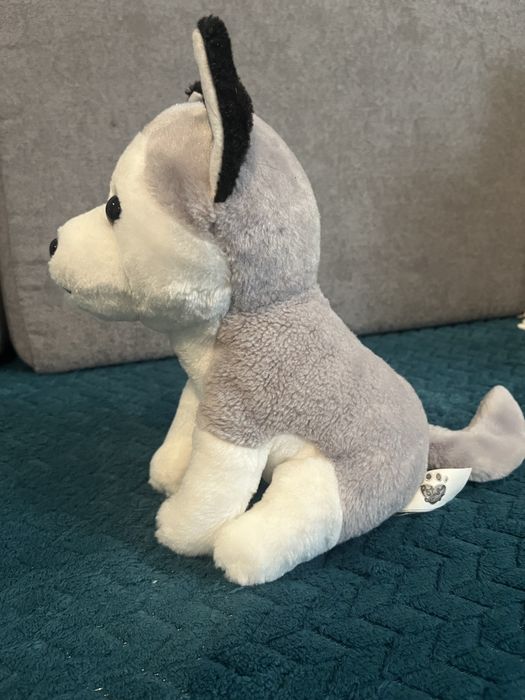 Maskotka pies Husky, wysokość ok. 24 cm.