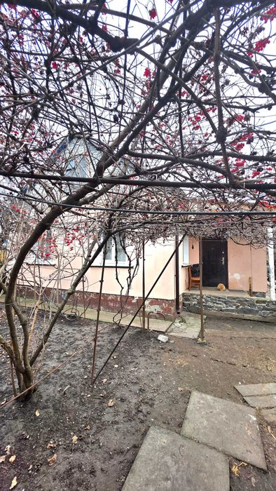 Одноповерховий будинок по вул.Чумацька (р-н) АТБ.