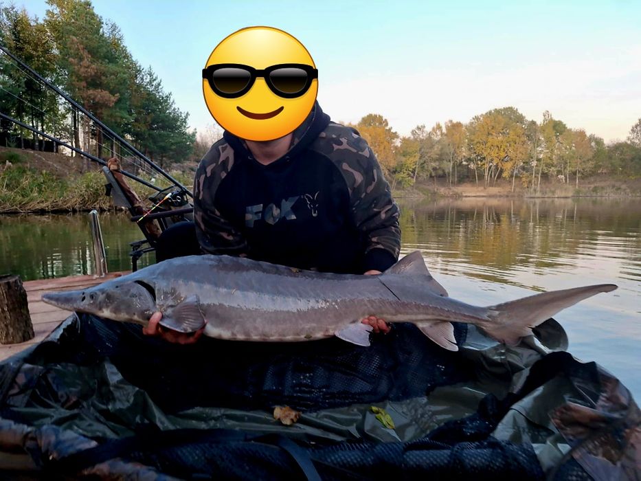 Domek i łowisko  do wynajęcia