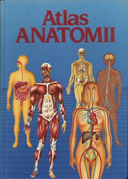 Atlas anatomii, Enric Gil de Barnabe Ortega