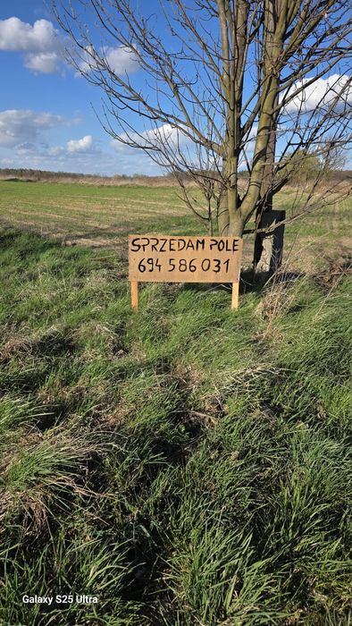Sprzedam ZIEMIĘ ROLNĄ 2 ha