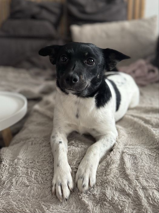 Шукаємо родину для дівчинки