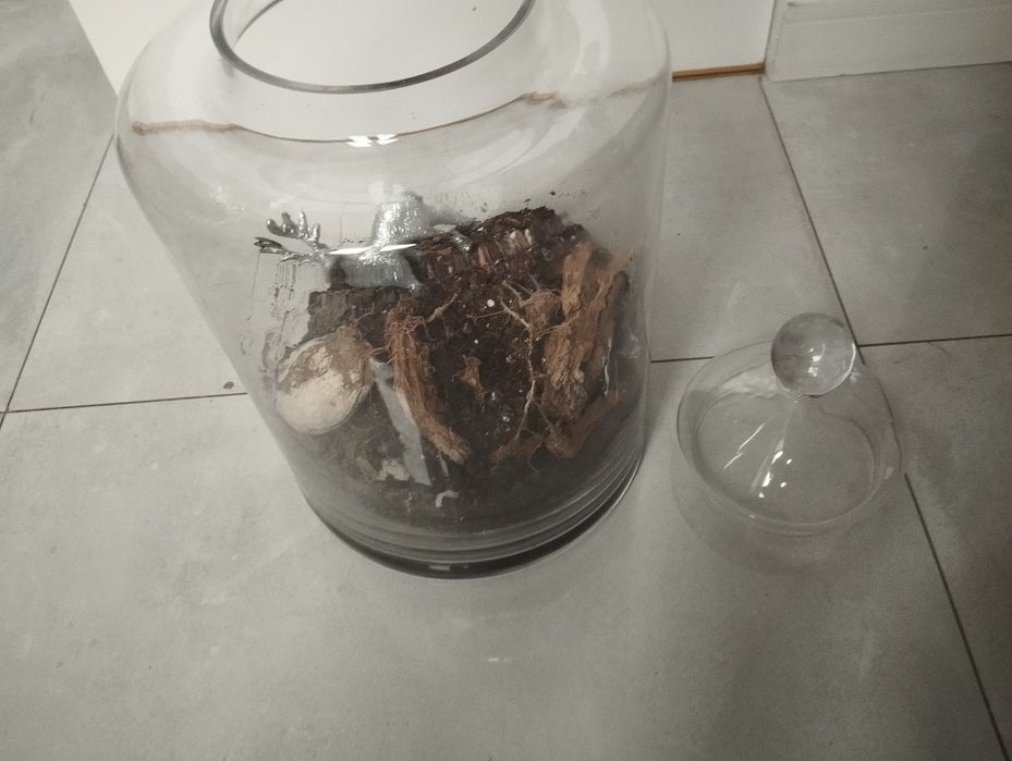 Wazon szklany ozdobny okazja
