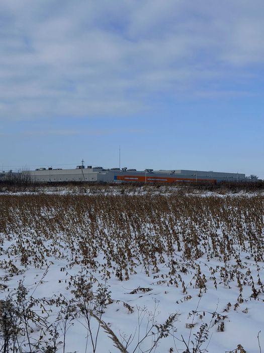 Продаж земельної ділянки поблизу Львова у с. Муроване 55 соток