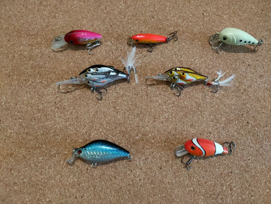 Amostra para pesca
