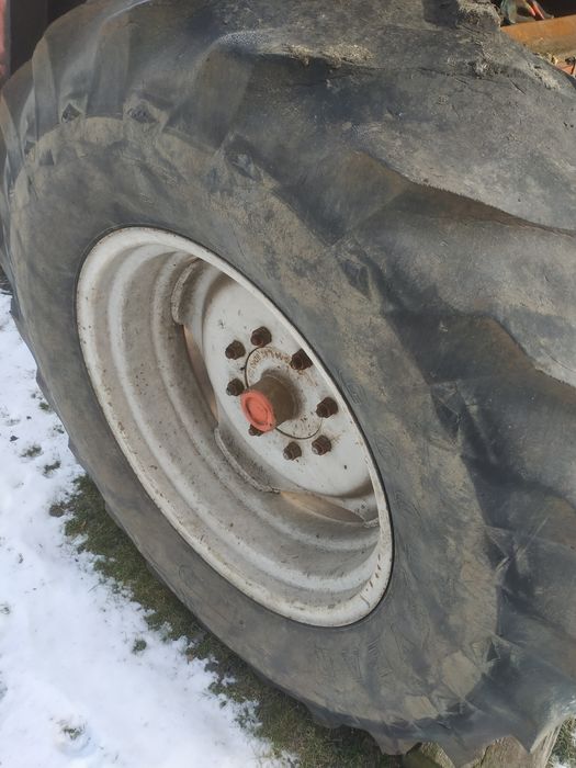 Koła do bizona zo56