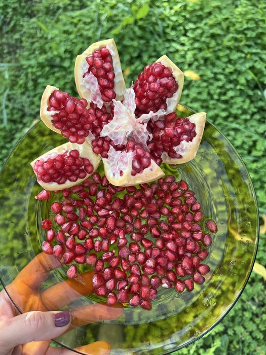 Terreno agricola de 7400m² Calhandriz - lisboa