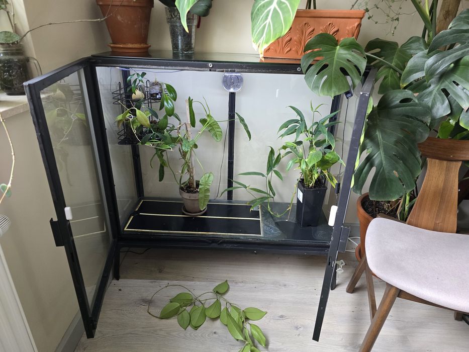 Witryna Milsbo czarna - IKEA